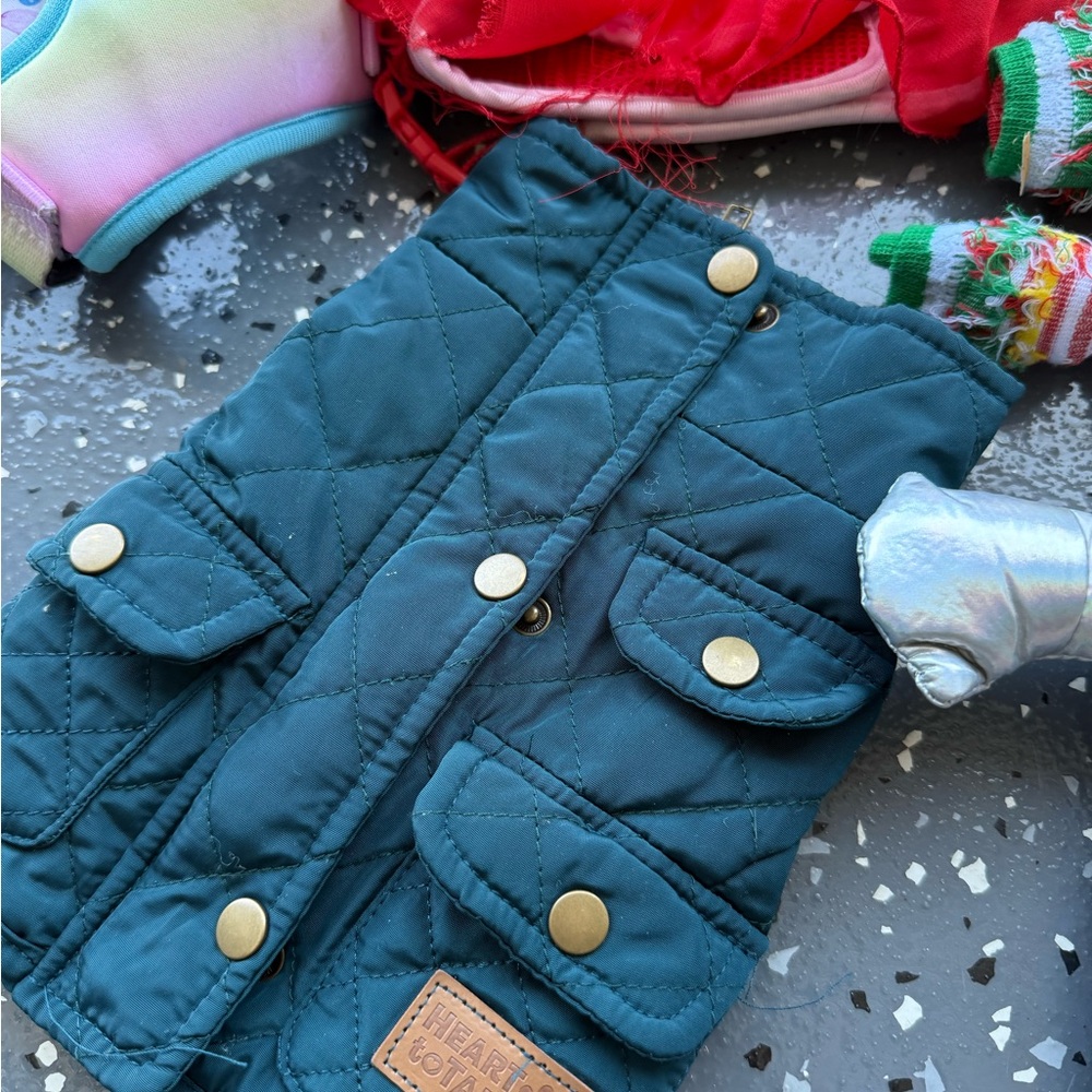 Colorful Dog Apparel Collection - Picture 5 of 9